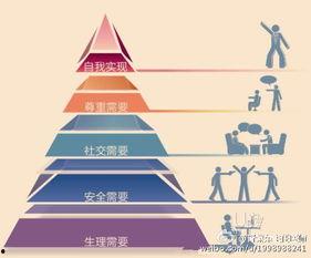 美国在线观看理论,揭秘数字时代的观影新趋势 第1张 美国在线观看理论,揭秘数字时代的观影新趋势 第1张