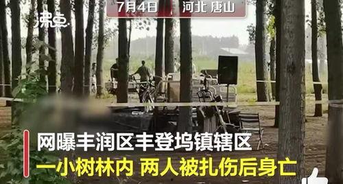 唐山视频爆料,还原事件真相，揭开暴力冲突背后  第2张