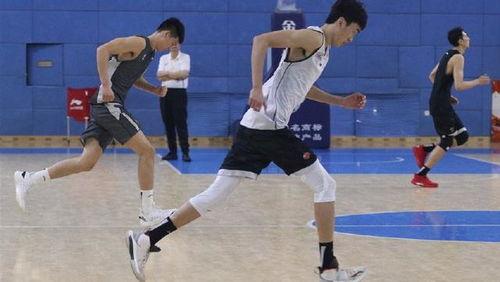 刘大锤爆料篮球视频在线观看,篮球视频盛宴，在线观看精彩纷呈！